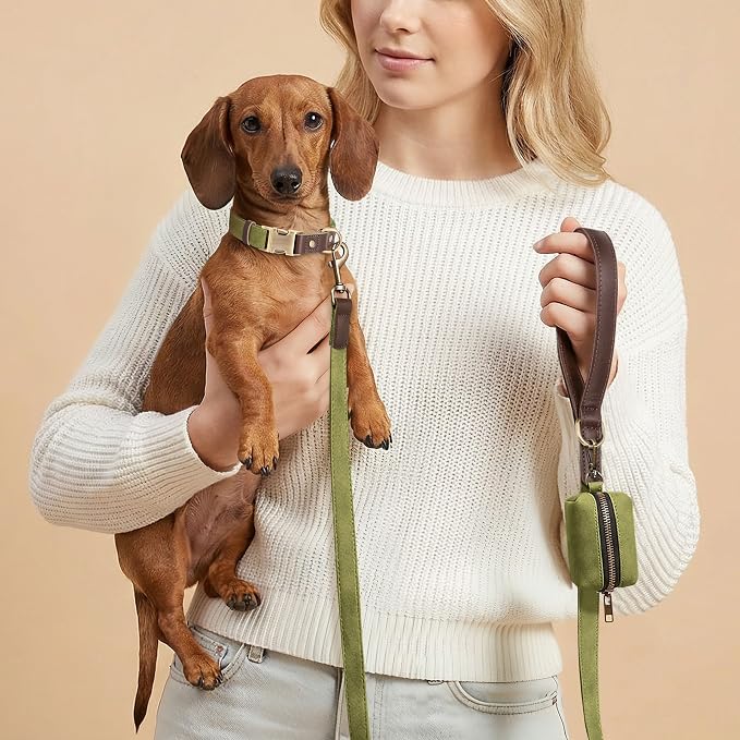 Didog Soft PU Leather Dog Collars for Small Dogs,Classic Adjustable Dog Collars with Quick Release Metal Buckle,Easy Clean and Comfortable with Nylon Lining,Olive Green,S Neck 11-15"