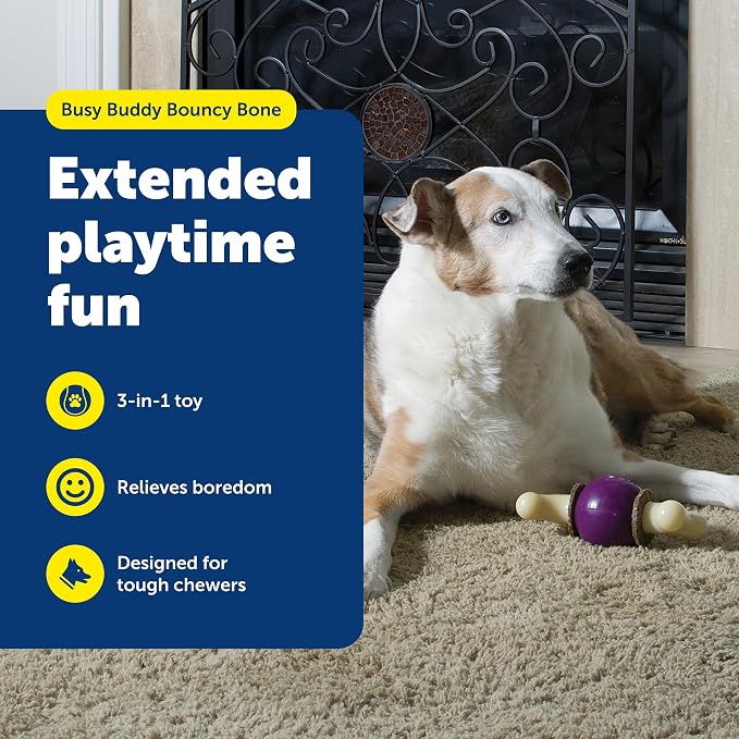 PetSafe Busy Buddy Bouncy Bone, Treat Holding Dog Toy, Medium, Best for Dogs 10-50 Lb.