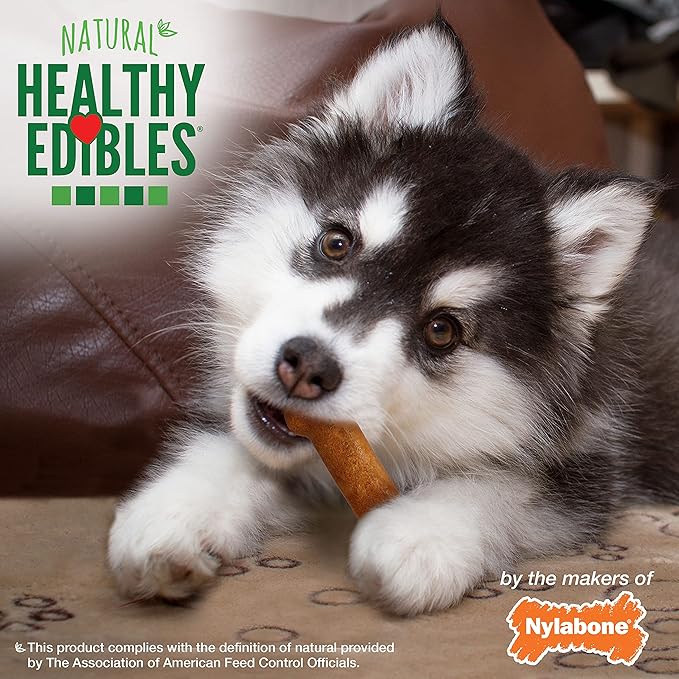 Nylabone Healthy Edibles Natural Puppy Chews Long Lasting Treats for Puppies, Turkey & Sweet Potato Flavor, X-Small/Petite (4 Count)