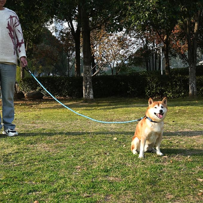 ZALER Rope Dog Leash, 4/5/6/10/15/20/30/50 Foot Reflective Dog Leashes with Carabiner, Heavy Duty Pet Lead for Large and Medium Dogs (5FT, Pink)