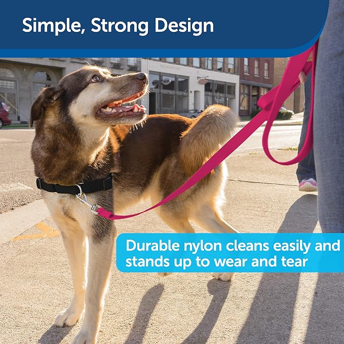 PetSafe Nylon Dog Leash Strong, Durable, Traditional Style Lead with Easy to Use Bolt Snap for Small, Medium and Large Dogs 3/4 in. x 6', Raspberry