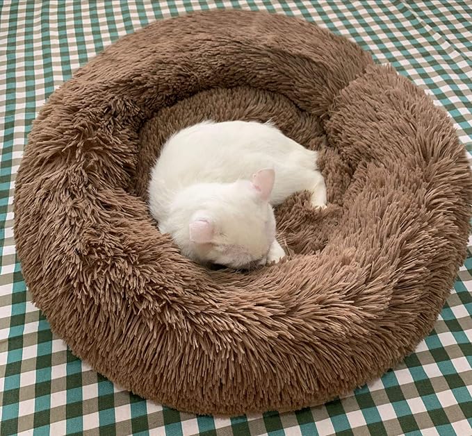 Modern Soft Plush Round Pet Bed for Cats or Small Dogs, Mini Medium Sized Dog Cat Bed Self Warming Autumn Winter Indoor Snooze Sleeping Cozy Kitty Teddy Kennel (24'' D x 8'' H, Coffee)