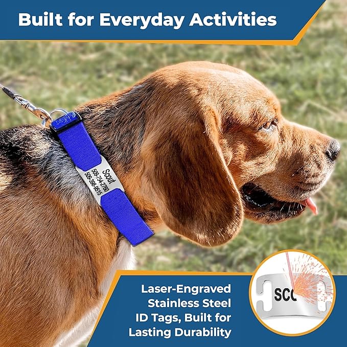 GoTags Personalized Dog ID Tag Collar, Adjustable Nameplate Collar with Custom Engraved Steel Slide On Pet Tag, Silent, No Noise Identification Name Number Many Color Options (Classic, Medium)