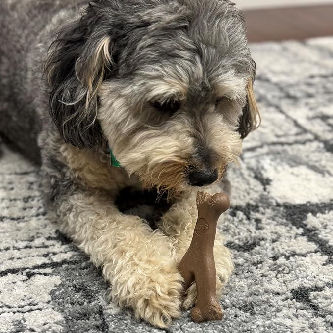 SPOT Bam-Bones Wishbone Dog Chew Toy, Bamboo Fiber Blend, Non-Splintering Durable Chew for Light to Moderate Chewers, Adult Dogs & Teething Puppies 10–30 lbs, Bacon Flavor, 5.25 in