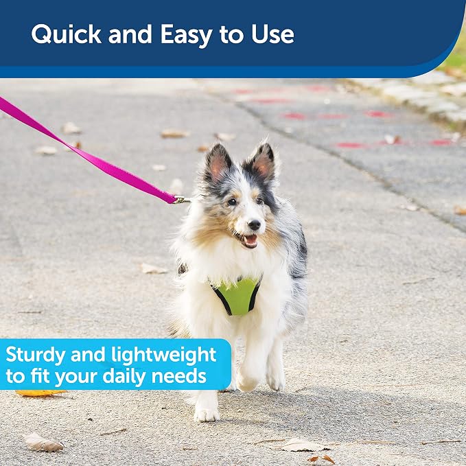 PetSafe Nylon Dog Leash Strong, Durable, Traditional Style Lead with Easy to Use Bolt Snap for Small, Medium and Large Dogs 3/4 in. x 6', Raspberry