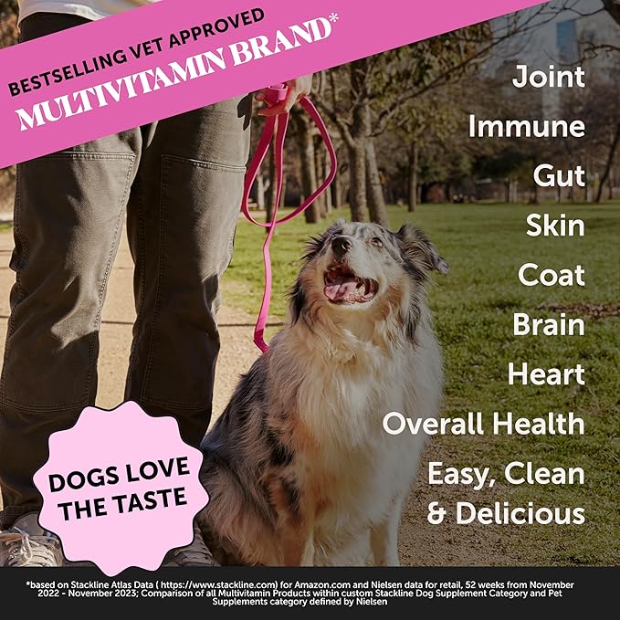 Liquid Multivitamin for Dogs with Salmon Oil - Omega 3 Fish Oil Food Topper Bone Broth Supplement - Daily Dog Vitamins for Allergy Itch Relief, Coat Health, Gut Digestion + Joints (12 oz)