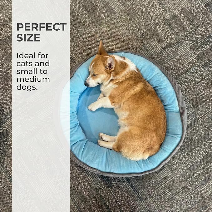 Calming Dog Bed for Small Dogs 18"x20" - Washable Donut Pet Bed with Anti-Slip Bottom, Soft Puppy Bed for Indoor Kittens and Cats with Removable Cover (Sky Blue)