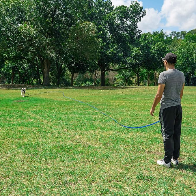 Hi Kiss Dog/Puppy Obedience Recall Training Agility Lead - 15ft 20ft 30ft 50ft 100ft Training Leash - Great for Training, Play, Camping, or Backyard (100 Feet, Green)