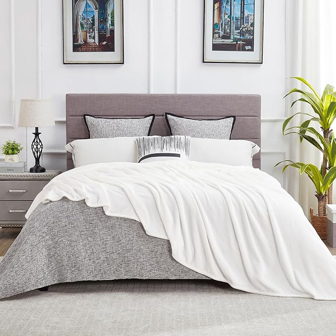 DREAMNINE Extra Large Solid Soft Comfy Fluffy Fleece Bed Blanket Queen Size 90" x 90", Luxury Decorative Fuzzy Blankets for Bedroom, Big Cozy Shaggy Warm Flannel Blanket for Winter Autumn Pet, White