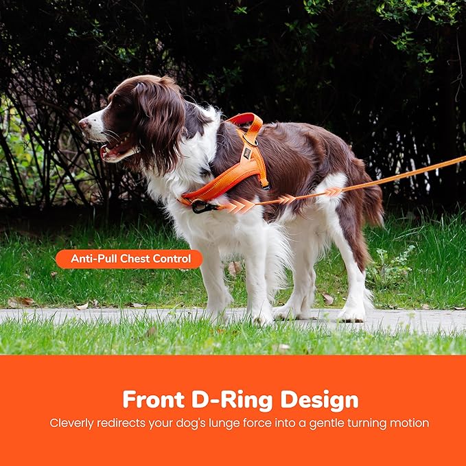 Didog No Pull Dog Harness with Breathable Mesh Padded,Reflective & Quick Fit Light Weight Dog Strap Vest Harness,Easy for Walking Training (M:Chest 21-26", Orange)