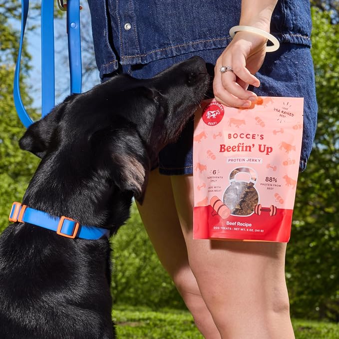 Bocce's Bakery Beefin’ Up Beef Jerky Protein Cuts Dog Treats – Natural & High-Protein, Wheat-Free, Made with Limited and Real Ingredients – Baked in The USA with No Added Salt or Sugar, Beef, 5oz