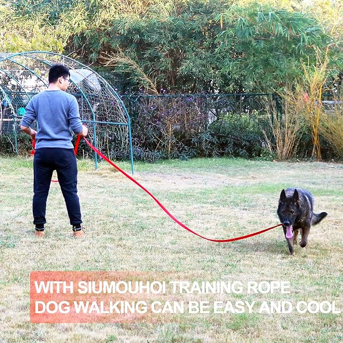 Siumouhoi Dog/Puppy Obedience Recall Training Agility Lead - 15ft 20ft 30ft 50ft Training Leash - Great for Play, Camping, or Backyard - Orange 30ft (30Feet, Orange)