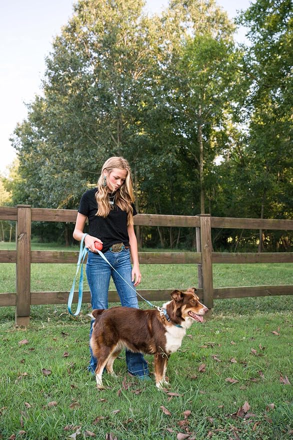 Country Brook Petz - Everyday Nylon Dog Leash - Strong, Durable, Solid Color Leash with Easy to Use Snap - 25+ Colors (1 Inch Wide, 4 Foot, Ice Blue)