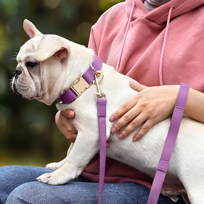 PET ARTIST PU Leather Dog Collar, Bright & Stylish Purple Dog Collar Girl with Quick Release Gold Metal Buckle, Soft Nylon Padded Durable Pet Collars Adjustable for Large Dogs, Neck Fit 16-27"