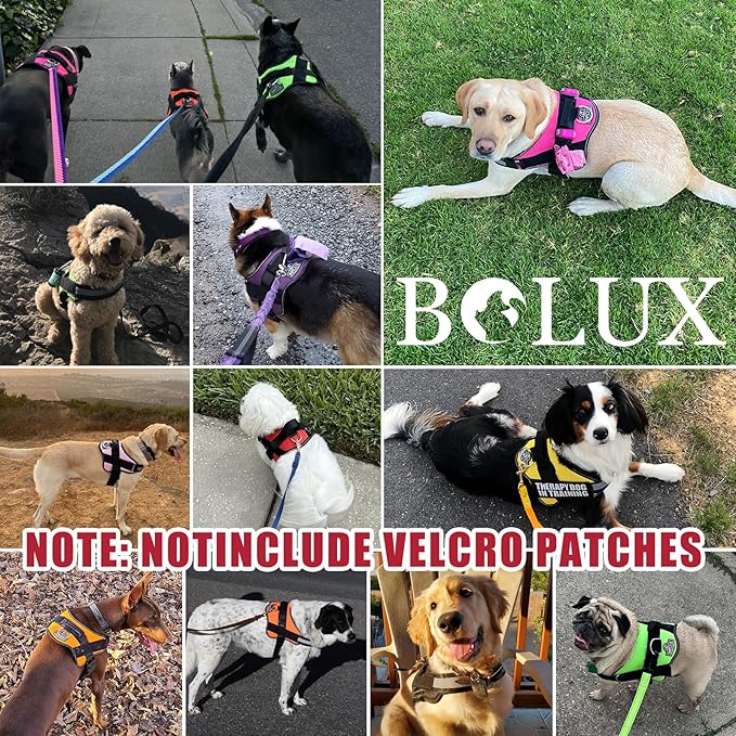 Dog Harness, No-Pull Reflective Dog Vest, Breathable Adjustable Pet Harness with Handle for Outdoor Walking - No More Pulling, Tugging or Choking (Flag, Large)