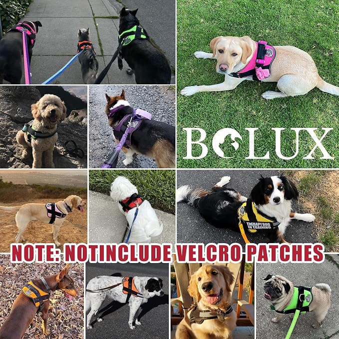 Dog Harness, No-Pull Reflective Dog Vest, Breathable Adjustable Pet Harness with Handle for Outdoor Walking - No More Pulling, Tugging or Choking (Flag, Medium)