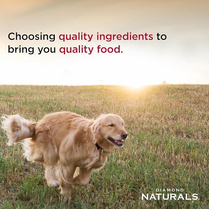 Diamond Naturals Skin & Coat Real Salmon and Potato Recipe Dry Dog Food with Protein, Superfoods, Probiotics and Essential Nutrients to Promote Healthy Skin and Coat 15lb