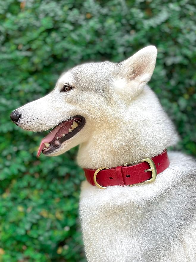 Tuff Pupper Classic Heavy Duty Dog Collar | 10x Stronger Than Leather | 100% Waterproof & Odor Proof Dog Collar | Tough Rust-Proof All Metal Hardware