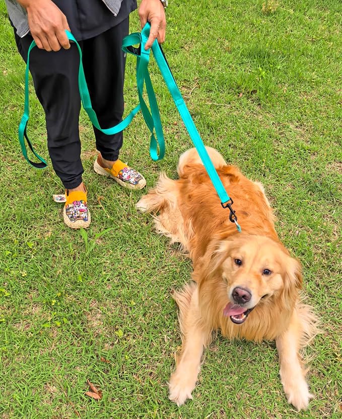 3 Handle Dog Leash, 10FT Triple Handle Reflective Stitching with Padded Traffic Handles, Heavy Duty Training Pet Lead for Control and Safety (Green)