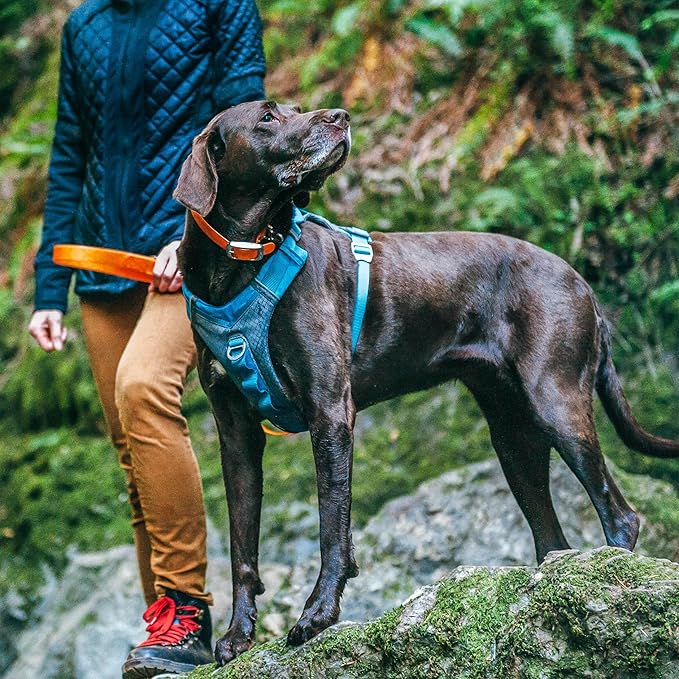 Kurgo Journey Air Dog Harness - Secure Fit for Active Dogs - Padded Chest - Lightweight Ripstop Fabric - Breathable Mesh - Reflective Trim - Back Assist Handle - Blue - Large