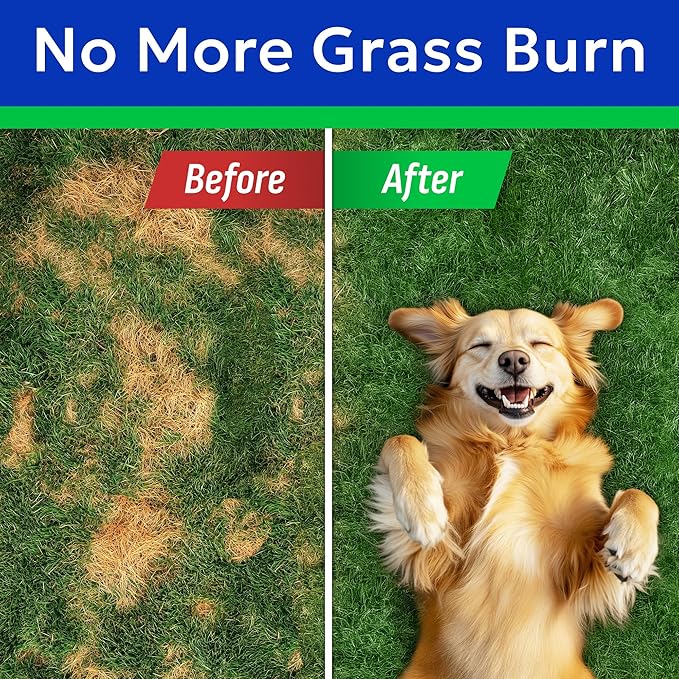 BARK&SPARK Green Grass Dog Chews – Dog Pee Grass & Urine Neutralizer for Lawn, Grass Burn Spot Chews with Probiotics & Enzymes, Helps Reduce Lawn Burn from Dog Urine (120 Soft Chews)