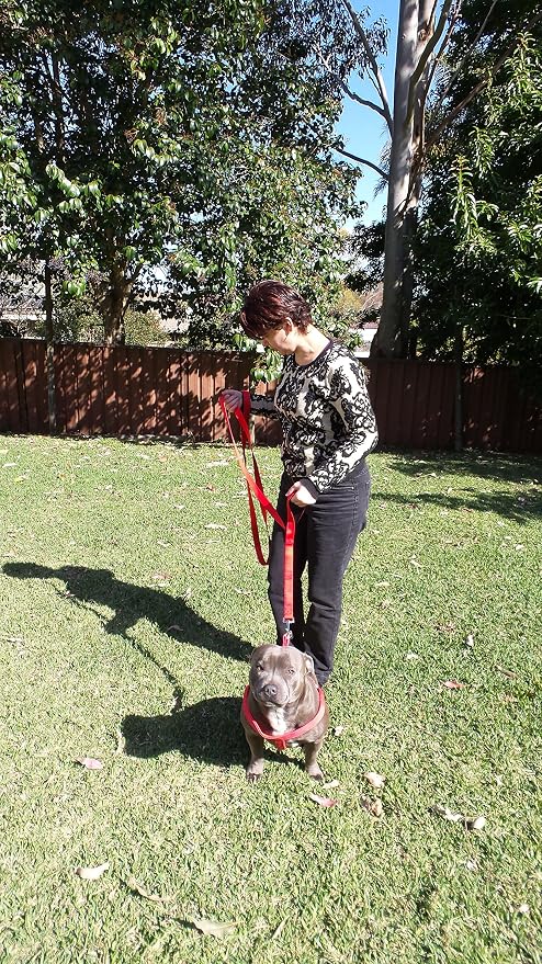 Primal Pet Gear Dog Leash 8ft Long - RED - Traffic Padded Two Handle - Heavy Duty - Double Handles Lead for Control Safety Training - Leashes for Large Dogs or Medium Dogs - Dual Handles Leads