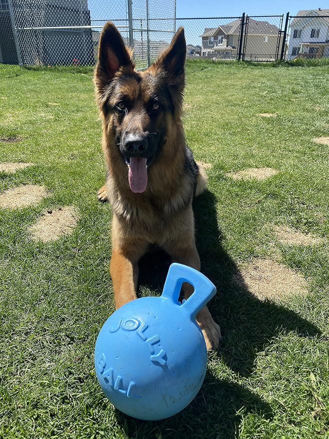 Jolly Pets Tug-n-Toss Heavy Duty Dog Toy Ball with Handle, 8 Inches/Large, Blueberry
