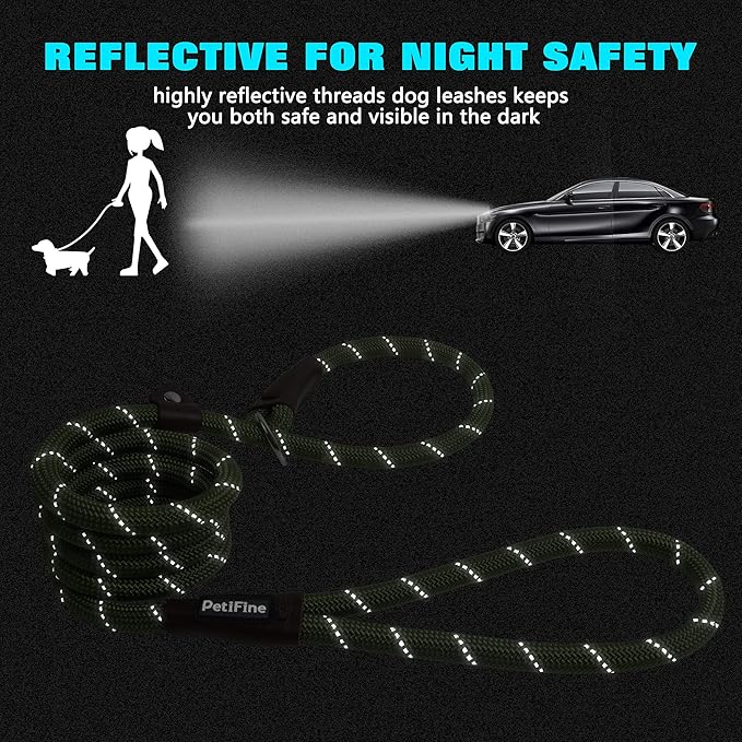 PetiFine Slip Lead Dog Leash,6FT x 3/8" Reflective Durable Dog Training Lead, Heavy Duty Adjustable Nylon Dog Rope Slip Leash for Small Medium Large Dogs (S, Green)