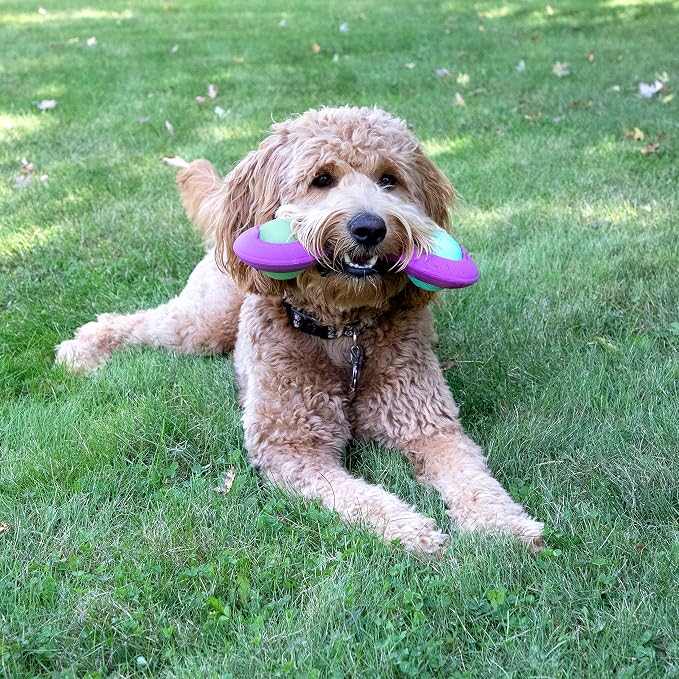 Chew King Premium Treat Dog Toy, Durable Natural Rubber Collection, Fetch and Tug Dog Toy, Dog Treat Toys for Boredum