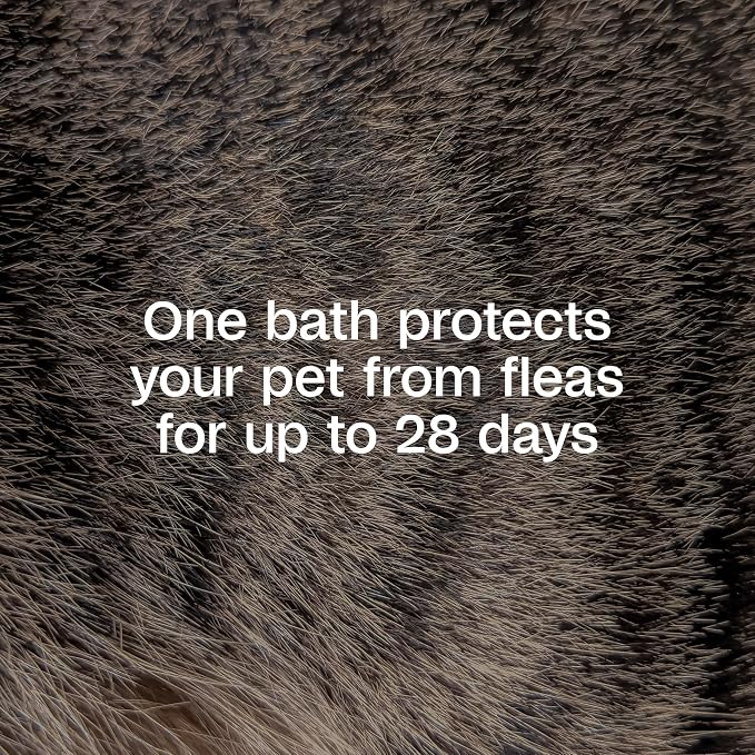 ADAMS Plus Flea & Tick Shampoo with Precor for Dogs, Cats, Puppies & Kittens, Flea Shampoo to Treat Infestations, Kills Ticks, Fleas, Flea Eggs & Lice, Cleans and Conditions Coat, 1 Gallon