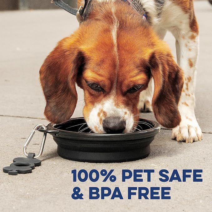 Bonza Collapsible Dog Water Bowl - BPA-Free Silicone Dog Dish - Reinforced Rim Collapsible Bowl - Carabiner Clip Travel Dishes for Pets - for Hiking, Camping & Car Trips - Large 33 Oz, Navy Blue